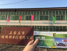 遛紙小分隊(duì)在石家莊宣傳西安展會(huì) (22)