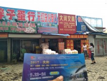 遛紙小分隊(duì)在遼寧本溪宣傳沈陽展會 (8)